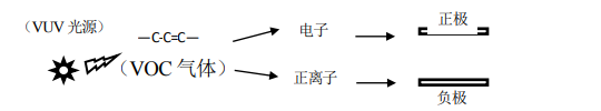 1698308240339.jpg